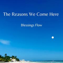 The Reasons We Come Here by William H. Brown audiobook