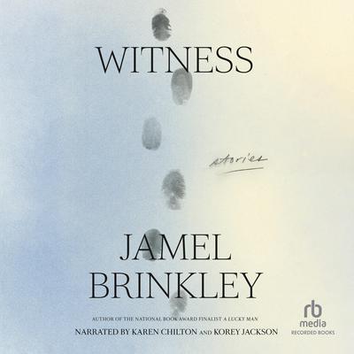 Witness by Jamel Brinkley audiobook