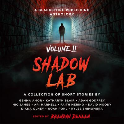 Shadow Lab, Volume Two by Brendan Deneen audiobook