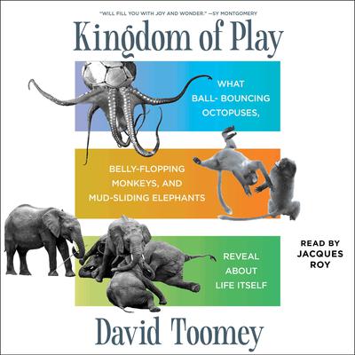 Kingdom of Play by David Toomey audiobook