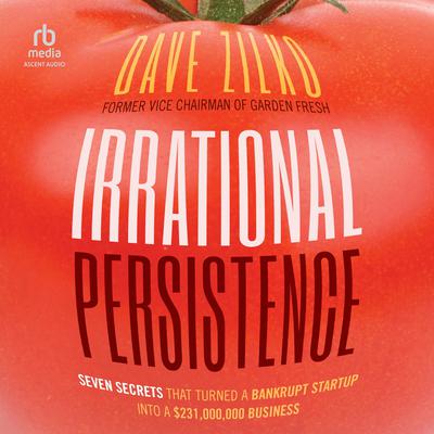 Irrational Persistence by Dave Zilko audiobook