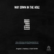 Way Down in the Hole by  Angela J. Hattery audiobook