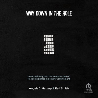 Way Down in the Hole by Angela J. Hattery audiobook