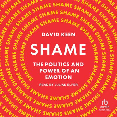 Shame by David Keen audiobook