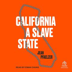 California, a Slave State by Jean Pfaelzer audiobook
