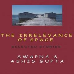 The Irrelevance of Space and Other Stories by Ashis Gupta audiobook