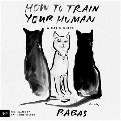 How to Train Your Human by Babas  audiobook