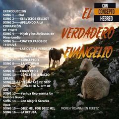 El Evangelio es Hebreo by Moreh Yojanan Ben Peretz audiobook