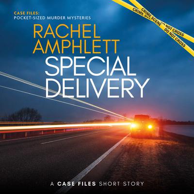 Special Delivery by Rachel Amphlett audiobook
