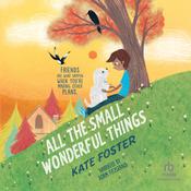 All the Small Wonderful Things by  Kate Foster audiobook