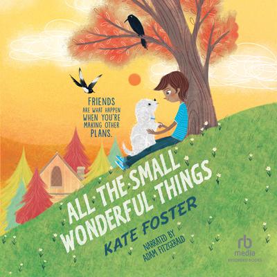 All the Small Wonderful Things by Kate Foster audiobook