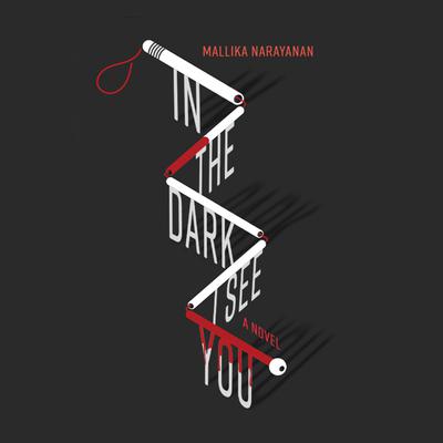 In the Dark I See You by Mallika Narayanan audiobook