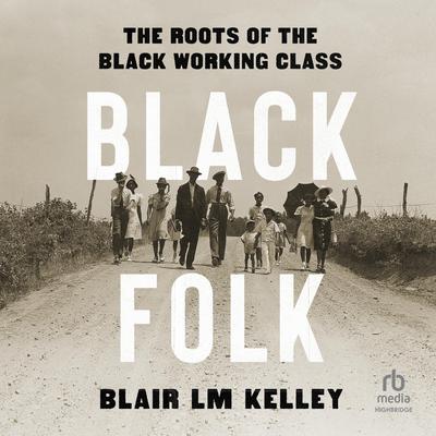 Black Folk by Blair L.M. Kelley audiobook