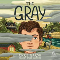The Gray by Chris Baron audiobook