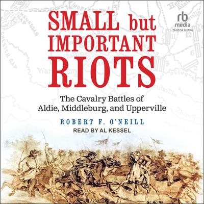 Small but Important Riots by Robert F. O’Neill audiobook
