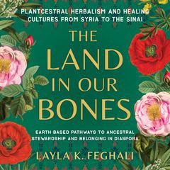The Land in Our Bones by Layla K. Feghali audiobook