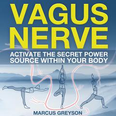 Vagus Nerve by Marcus Greyson audiobook