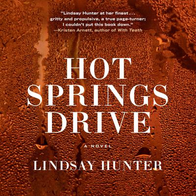 Hot Springs Drive by Lindsay Hunter audiobook