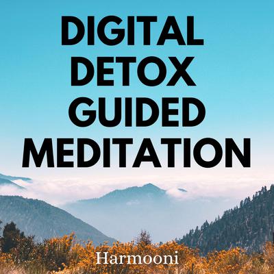 Digital Detox Guided Meditation by Harmooni  audiobook