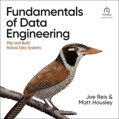 Fundamentals of Data Engineering by Joe Reis audiobook
