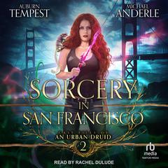 Sorcery in San Francisco by Michael Anderle audiobook