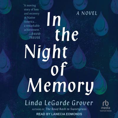 In the Night of Memory by Linda LeGarde Grover audiobook