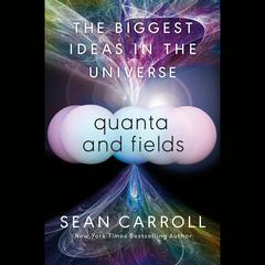 Quanta and Fields by Sean Carroll audiobook