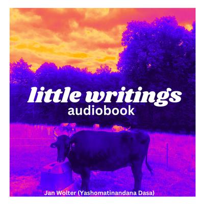 Little Writings by Jan Wolter audiobook