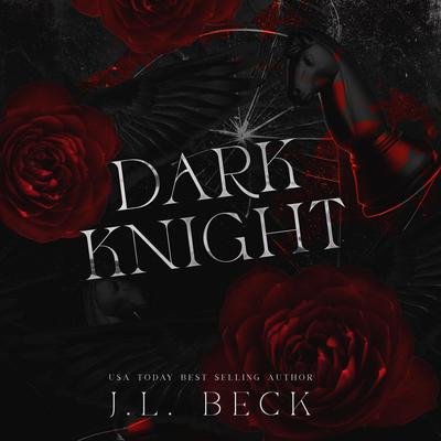 Dark Knight by J. L. Beck audiobook