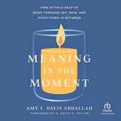 Meaning in the Moment by  Amy F. Davis Abdallah audiobook