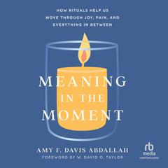 Meaning in the Moment by Amy F. Davis Abdallah audiobook