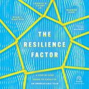 The Resilience Factor by  Warren Bird audiobook