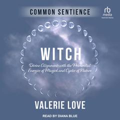 Witch by Valerie Love audiobook