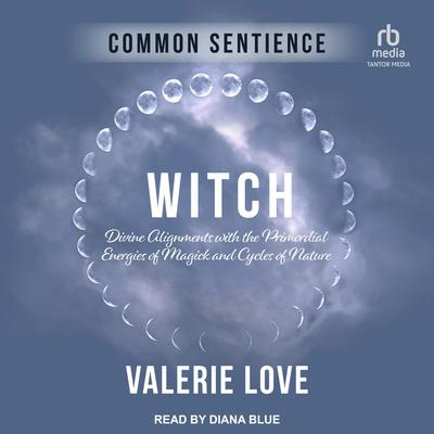 Witch by Valerie Love audiobook