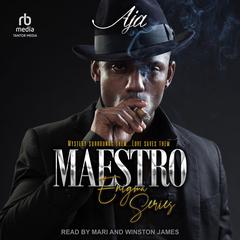 Maestro by Aja  audiobook