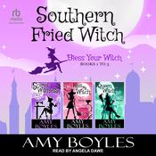Southern Fried Witch by  Amy Boyles audiobook