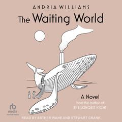 The Waiting World by Andria Williams audiobook