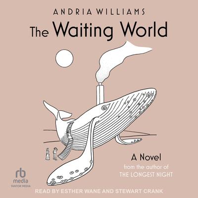 The Waiting World by Andria Williams audiobook