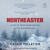 Northeaster by  Cathie Pelletier audiobook