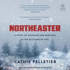 Northeaster by Cathie Pelletier audiobook