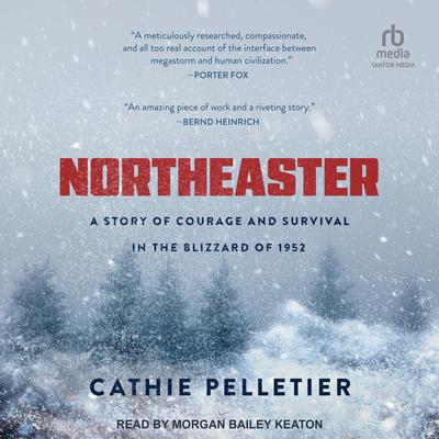 Northeaster by Cathie Pelletier audiobook