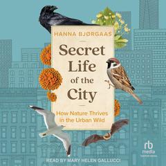 Secret Life of the City by Hanna Hagen Bjørgaas audiobook