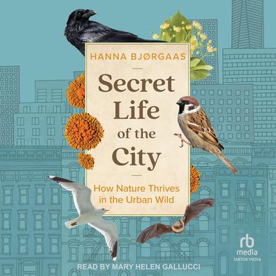 Secret Life of the City by Hanna Hagen Bjørgaas audiobook