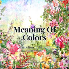 Meaning Of Colors by Niina Niskanen audiobook