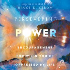 Persevering Power by Bruce Strom audiobook