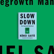 Slow Down by  Kohei Saito audiobook