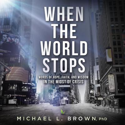 When the World Stops by Michael L. Brown audiobook