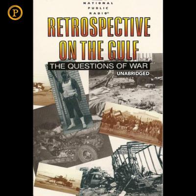 Retrospective on the Gulf by Neal Conan audiobook