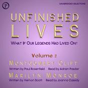 Unfinished Lives by  Paul Rosenfield audiobook