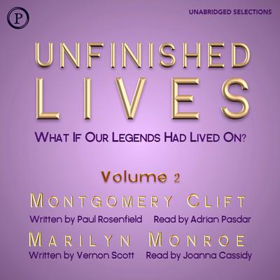 Unfinished Lives by Paul Rosenfield audiobook